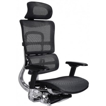 Mesh Ergonomic Chairs